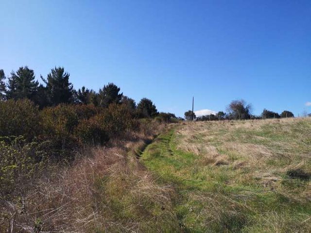 TERRENO 1.03 Ha SECTOR CANCHA LARGA OSORNO
