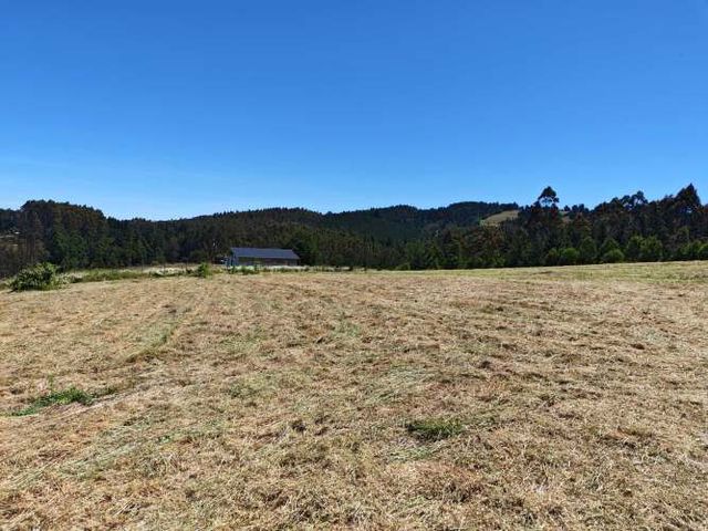 TERRENO 1.03 Ha SECTOR CANCHA LARGA OSORNO