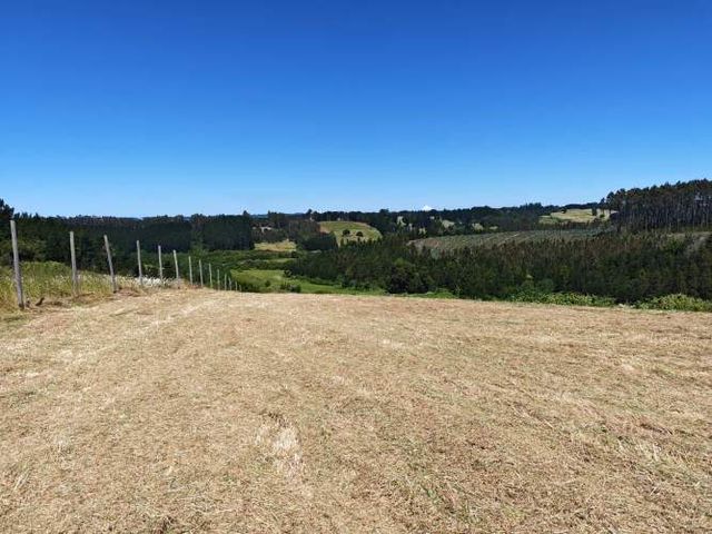 TERRENO 1.03 Ha SECTOR CANCHA LARGA OSORNO