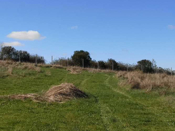 TERRENO 1.03 Ha SECTOR CANCHA LARGA OSORNO