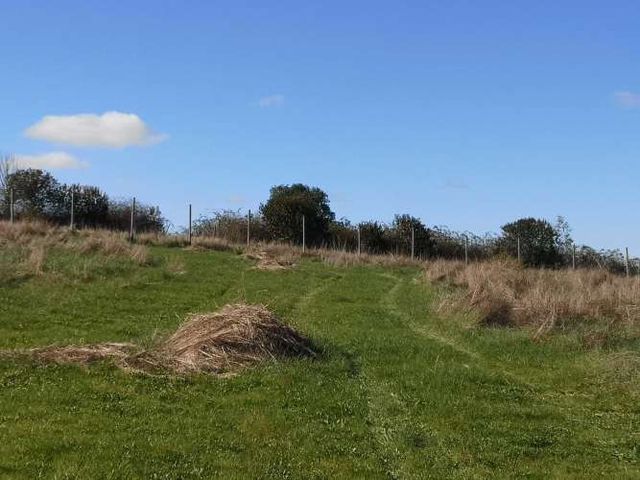 TERRENO 1.03 Ha SECTOR CANCHA LARGA OSORNO