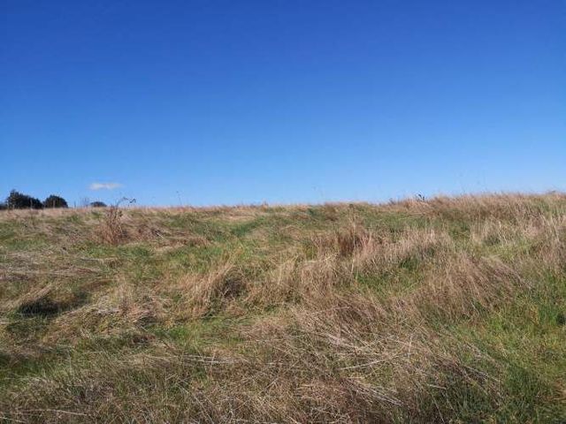 TERRENO 1.03 Ha SECTOR CANCHA LARGA OSORNO
