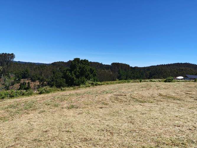 TERRENO 1.03 Ha SECTOR CANCHA LARGA OSORNO