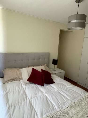 Hermoso departamento amoblado en Santiago centro