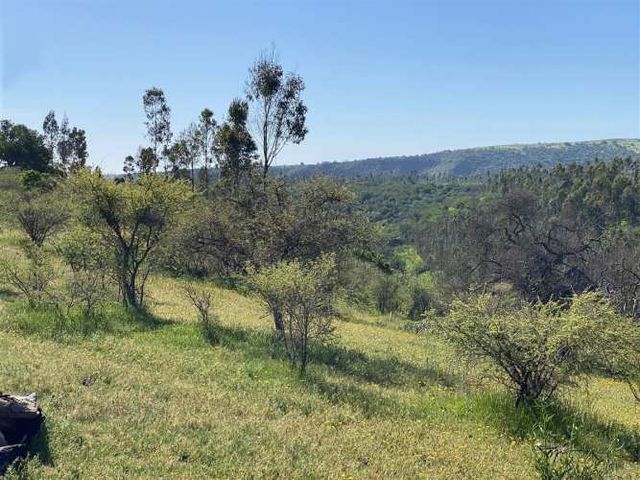 PARCELA 598W+CQ8 Santo Domingo