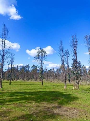 PARCELA CHILLÁN