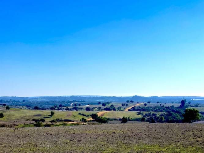 PARCELA A pasos del centro Central Rapel