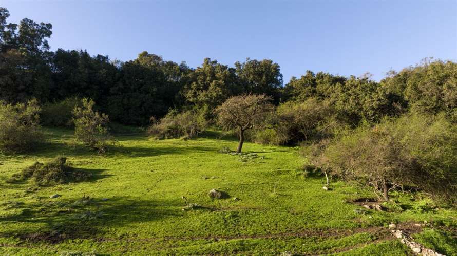 PARCELA A pasos del centro Central Rapel