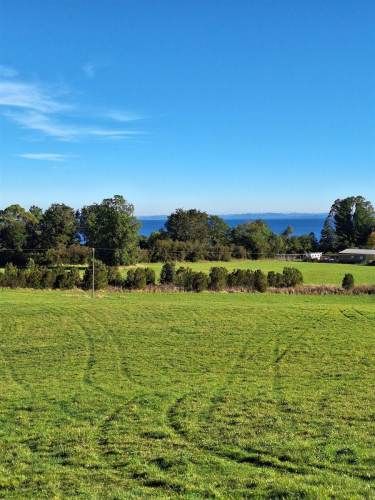 PARCELA Playa Venado