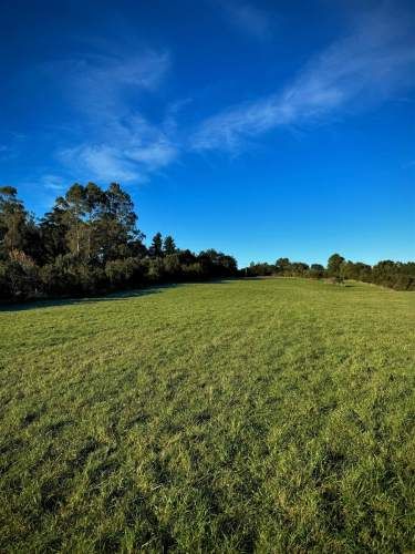 PARCELA Playa Venado
