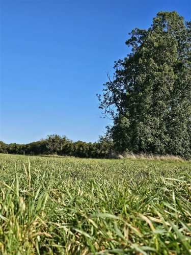 PARCELA Playa Venado