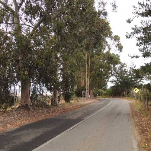 PRECIOSO TERRENO EN TUNQUEN CON VISTA MAR Y USO COMERCIAL / RESIDENCIAL