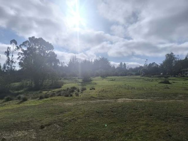 maravillosa propiedad en el totoral , algarrobo, para proyecto o inversión