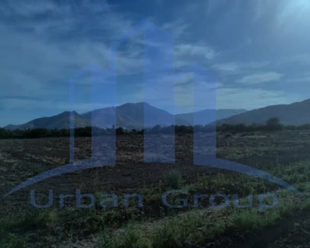 En Proceso de Cambio de Uso de Suelo