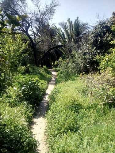 EXCELENTE UBICACION ÑUÑOA VESPUCIO METRO DUBLE ALMEYDA CASA SITIO