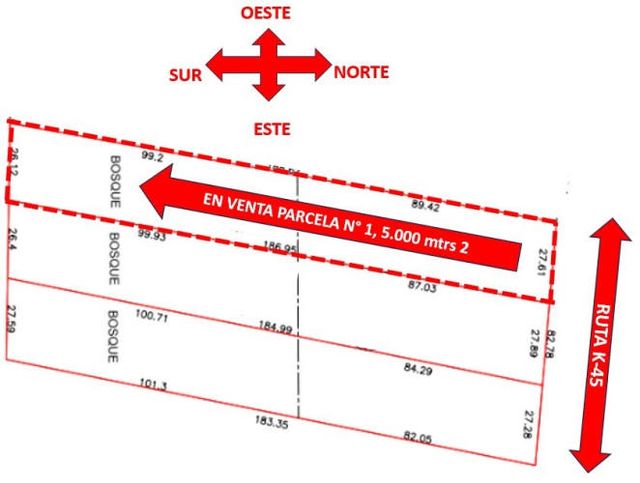 Vendo Hermosa Parcela 5.000 mtrs., a Orilla De Camino
