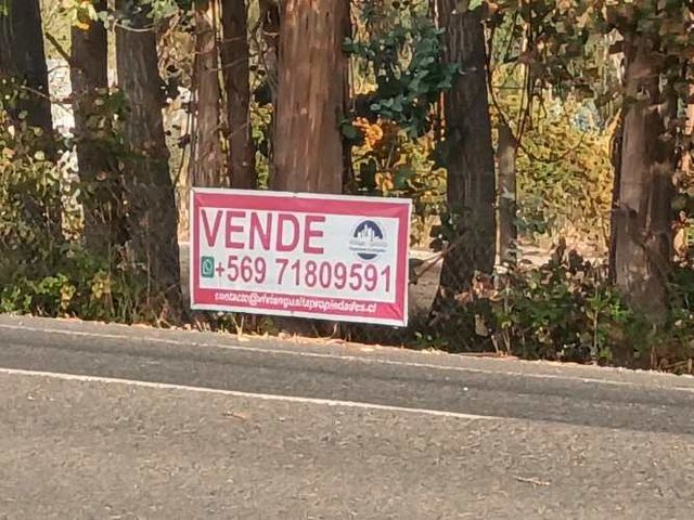 Vendo Parcela, 15.000 Mtrs.2, A Orilla De Camino Principal