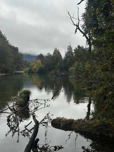 COCHAMO 5000 M2 CON ESTERO, RIO Y LAGUNA RIO PUELO