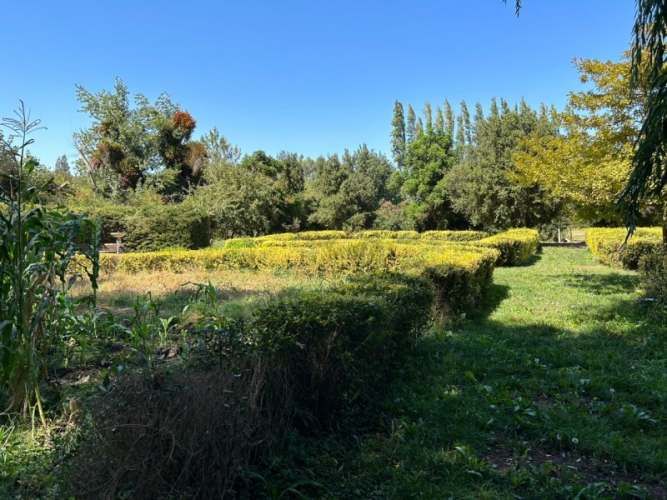 Se vende 1 parcela con casa y casa cuidador en el Monte