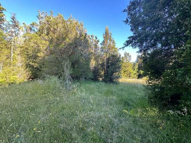 PUERTO MONTT PARCELA 5000 M2 CORRENTOSO