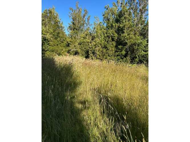 PUERTO MONTT PARCELA 5000 M2 CORRENTOSO