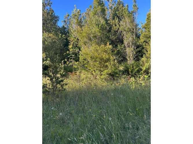 PUERTO MONTT PARCELA 5000 M2 CORRENTOSO