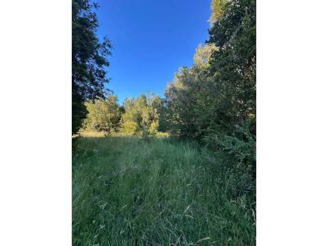 PUERTO MONTT PARCELA 5000 M2 CORRENTOSO