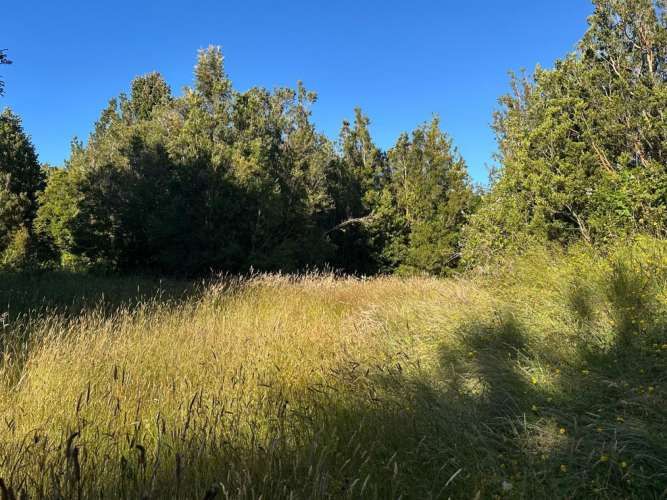 PUERTO MONTT PARCELA 5000 M2 CORRENTOSO