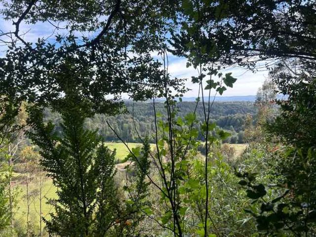 DALCAHUE 09 PARCELAS EN PINDAPULLI