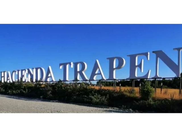 PUERTO MONTT PARCELA 5000 M2 CAMINO A CHAQUEIHUA