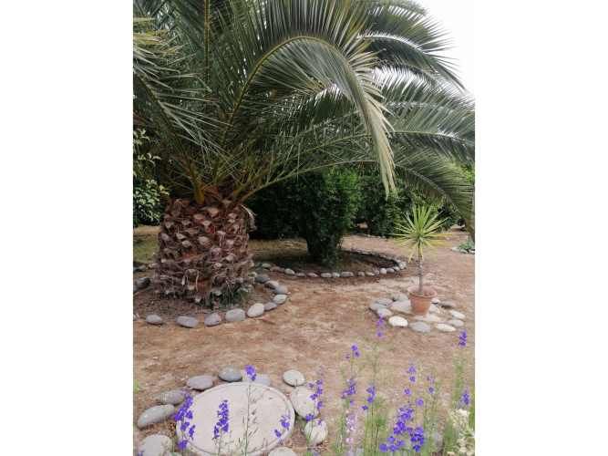 VENTA DE PARCELA CON CASA, DEPARTAMENTO, QUINCHO, JARDINES Y QUINTA FRUTAL EN CHADA, PAINE.