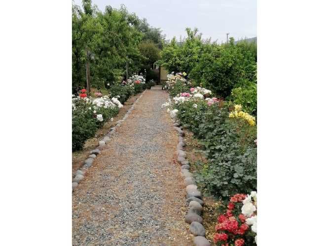 VENTA DE PARCELA CON CASA, DEPARTAMENTO, QUINCHO, JARDINES Y QUINTA FRUTAL EN CHADA, PAINE.