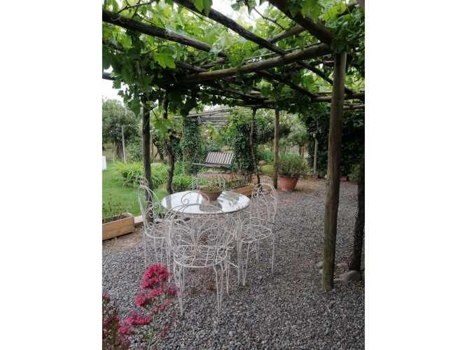 VENTA DE PARCELA CON CASA, DEPARTAMENTO, QUINCHO, JARDINES Y QUINTA FRUTAL EN CHADA, PAINE.