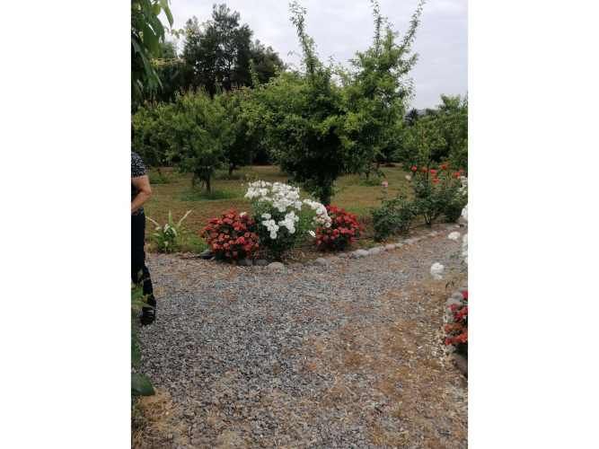 VENTA DE PARCELA CON CASA, DEPARTAMENTO, QUINCHO, JARDINES Y QUINTA FRUTAL EN CHADA, PAINE.