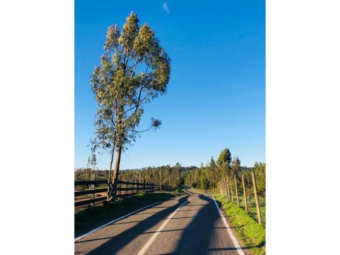 NUEVO PRECIO REBAJADA Parcela Yali Alto Vista al Valle