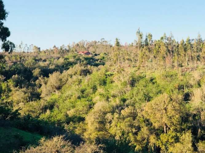 NUEVO PRECIO REBAJADA Parcela Yali Alto Vista al Valle