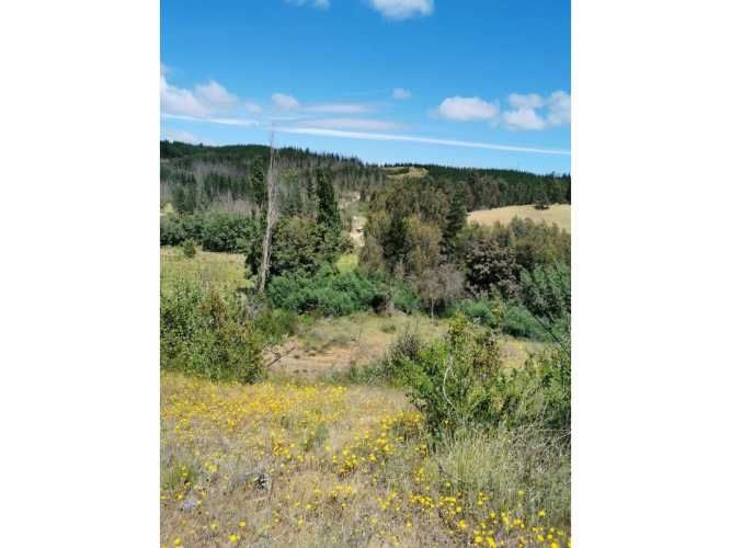 NUEVO PRECIO REBAJADA Parcela Yali Alto Vista al Valle