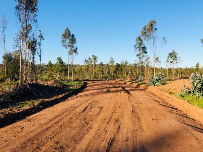 NUEVO PRECIO REBAJADA Parcela Yali Alto Vista al Valle