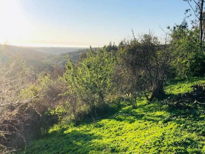 NUEVO PRECIO REBAJADA Parcela Yali Alto Vista al Valle