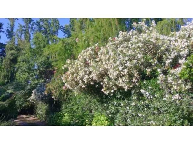 Paine Dia De Campo EXCLUSIVO para grupos en parcela. Piscina Cancha Quincho con parrillas y horno de barro