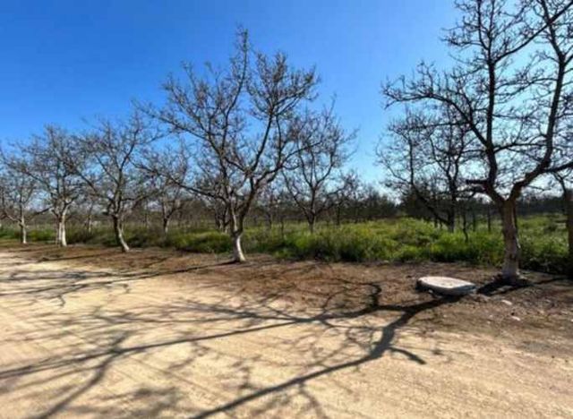 Tu refugio ideal te espera Parcela con excelente ubicación y entorno natural en Talagante