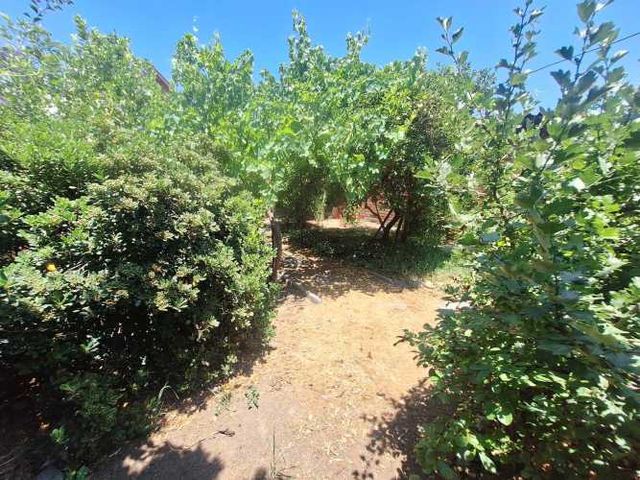 ARRIENDO MARAVILLOSA CASA EN MACUL (132958)