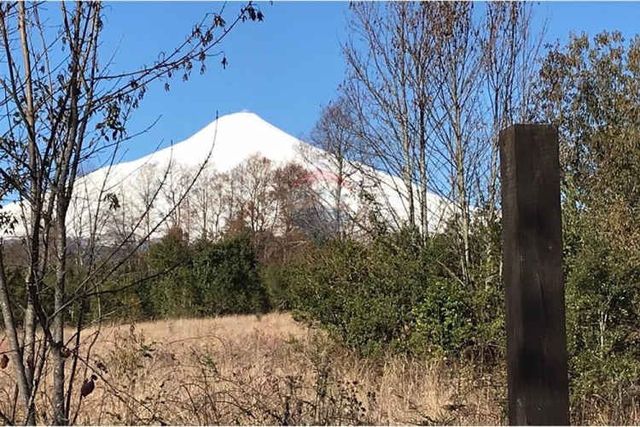 Parcela molco entre pucón y villarrica