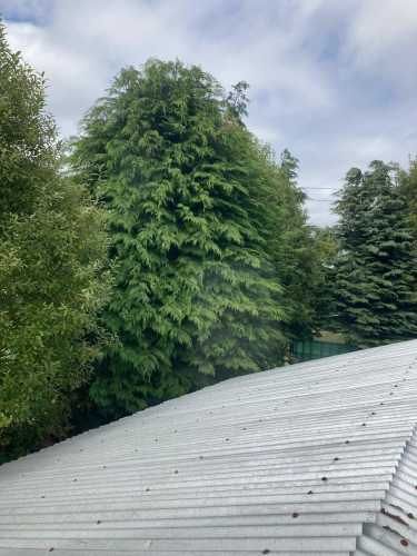 Casa con gran terreno y rol propio en Piedra Azul, Puerto Montt