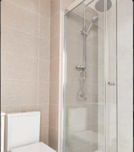 Luminoso y Moderno Departamento Céntrico (132945)