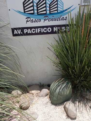 SE ARRIENDA DEPTO AMOBLADO EN AV. PACIFICO (133032)