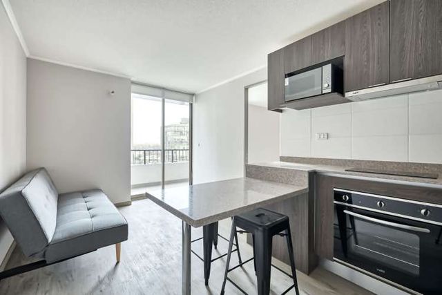 Vicuña Urban [1322-1]