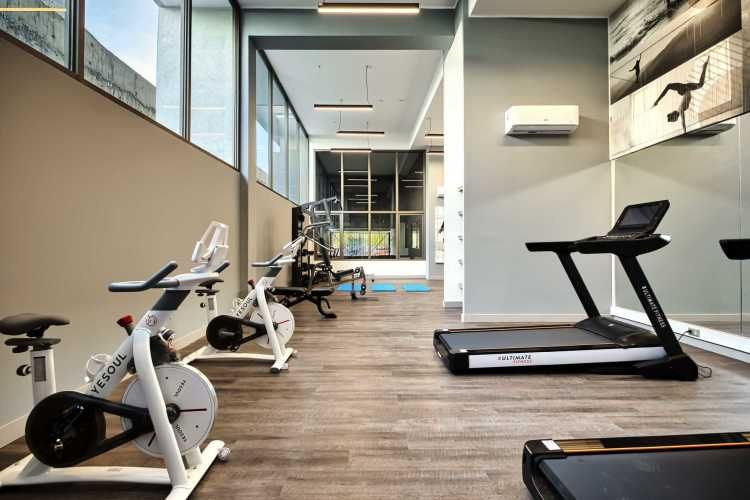 FAM Huemul [2499-11]