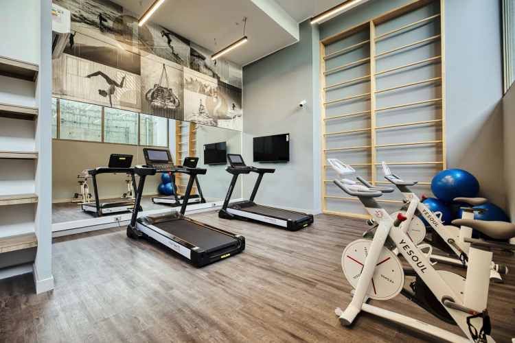 FAM Huemul [2499-11]