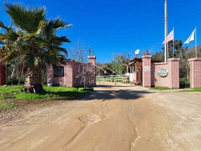 Parcela en venta de 5000m2 ubicado en Centro de Puchuncaví
